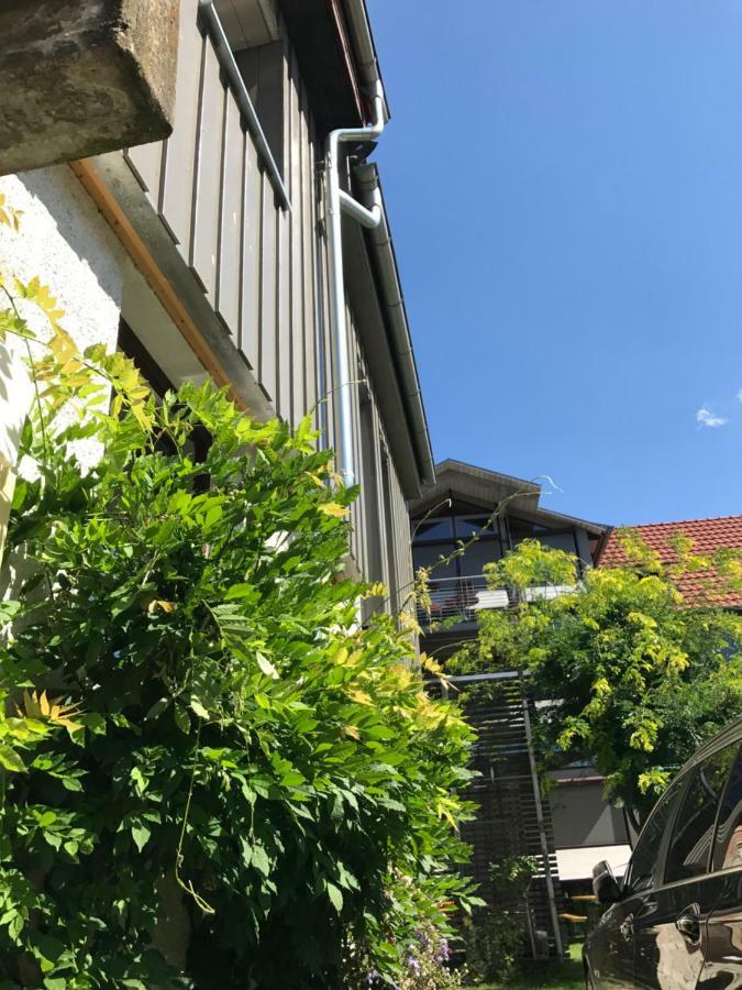 Blackbird'S Nest Wiesenbronn Exteriör bild